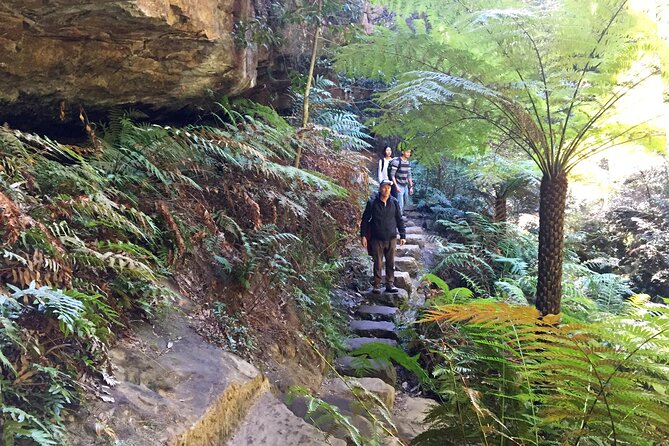 Ultimate Blue Mountains Private Tour with Scenic World and Wildlife Park - Lunch and a pause in Leura