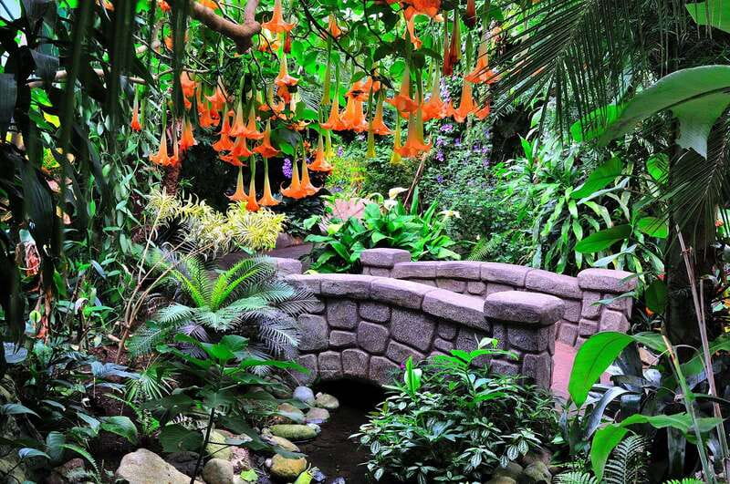 Victoria: Butterfly Gardens Admission Ticket - Walking among roughly 70 butterfly species