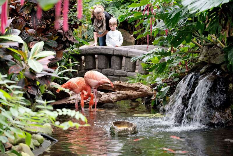 Victoria: Butterfly Gardens Admission Ticket - Tropical flowers, carnivorous plants, and fruits of the world