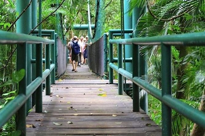 Villahermosa city tour with La Venta Museum and Yumká zoo - Is $155 a Fair Price?