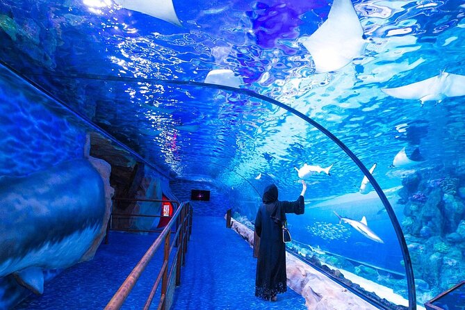 VIP Experience Dubai Aquarium & Underwater Zoo-As per Selection - Walking through the 48-meter underwater tunnel
