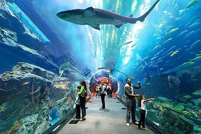 VIP Experience Dubai Aquarium & Underwater Zoo-As per Selection - Who will enjoy this experience most