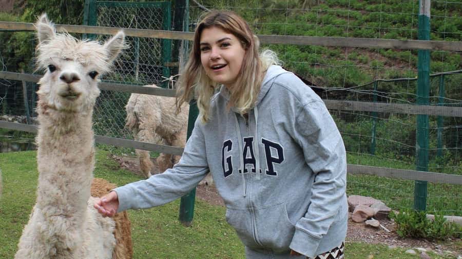Visit to the Cochahuasi Animal Sanctuary with rescued animal - Free time for crafts and a slower finish