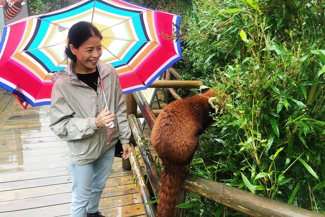 Visiting Chengdu Panda Base in a Half Day - Why Chengdu Panda Base is worth your morning