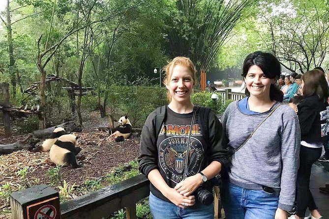 Visiting Chengdu Panda Base in a Half Day - A small group makes the panda base easier
