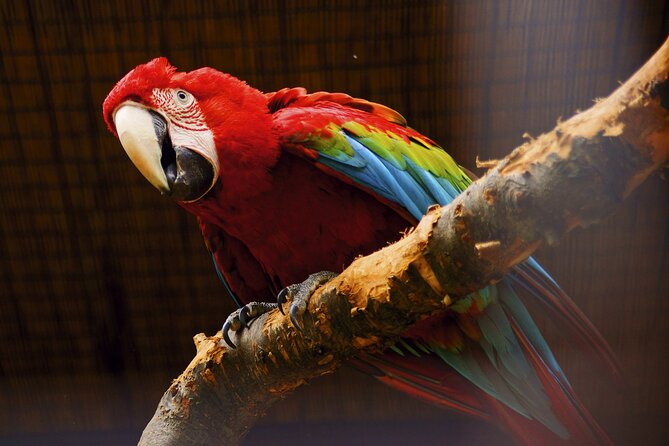 Vltava River Boat Trip and Zoo Entrance Ticket in Prague - Booking details that matter