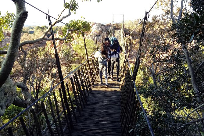 Walk with Elephants Experience plus Monkey Forest Walk - Why the private format affects the value