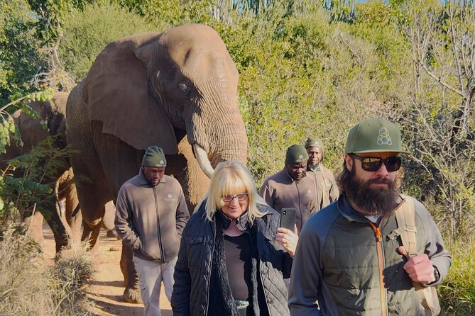 Walk with Elephants Experience plus Monkey Forest Walk - Animal welfare and the kind of encounter to expect
