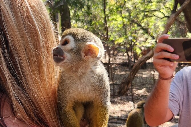 Walk with Elephants Experience plus Monkey Forest Walk - How the six-hour schedule works