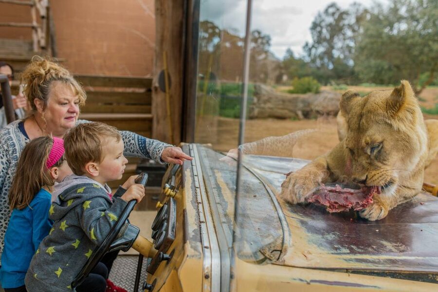 Werribee Open Range Zoo: Entry Ticket - Who should book Werribee Open Range Zoo?