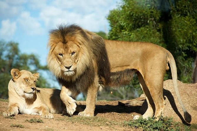 Werribee Open Range Zoo General Admission Ticket - Keeper talks add value to the admission price