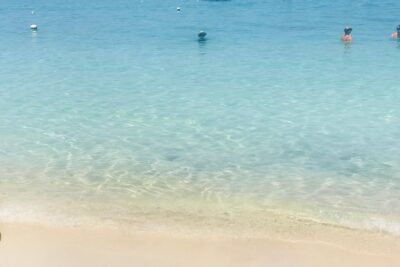 West Bay Beach Break / Monkey and Sloth Sanctuary