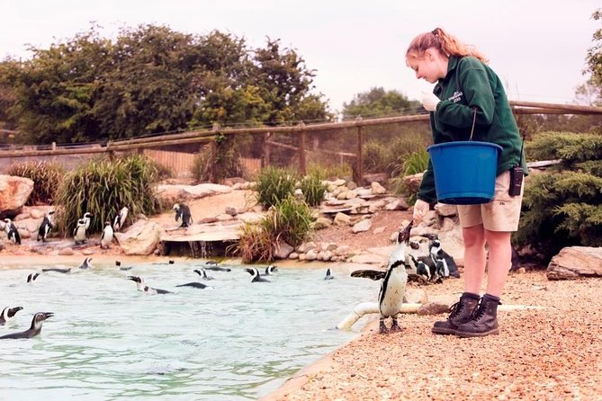 Whipsnade Zoo Entry Ticket - Why Whipsnade feels different from a city zoo