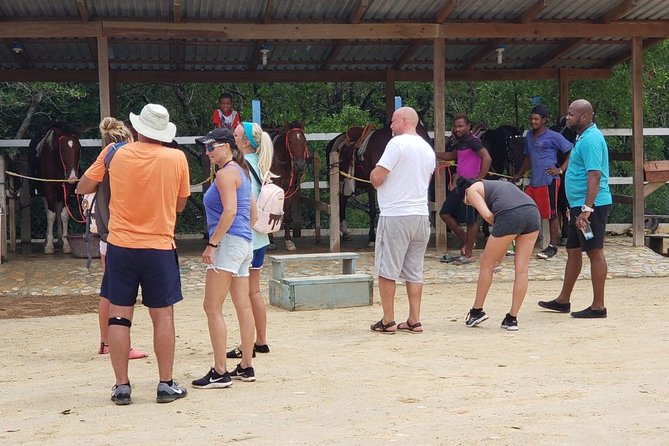 Wildlife adventure, Chocolate factory, city Tour & Beach Break - Key points to know before booking