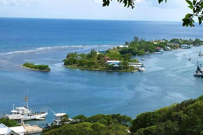 Wildlife adventure, Chocolate factory, city Tour & Beach Break - Roatan Chocolate Factory: a sweet hour with local flavor