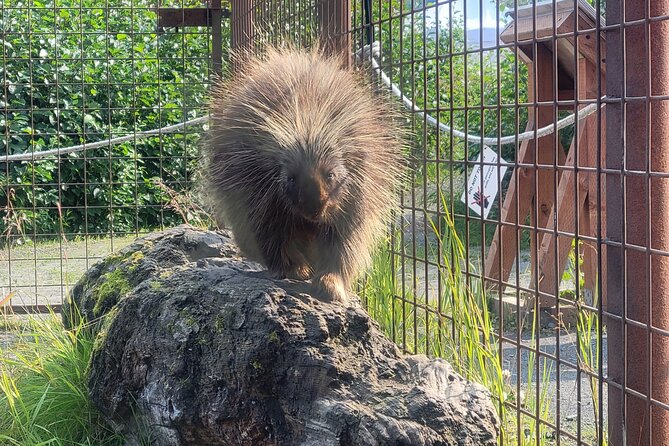 Wildlife Center with Lunch and Local Beer Sampling - What the small group changes