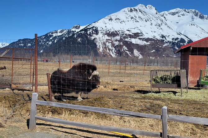Wildlife Center with Lunch and Local Beer Sampling - Who will get the most from this tour