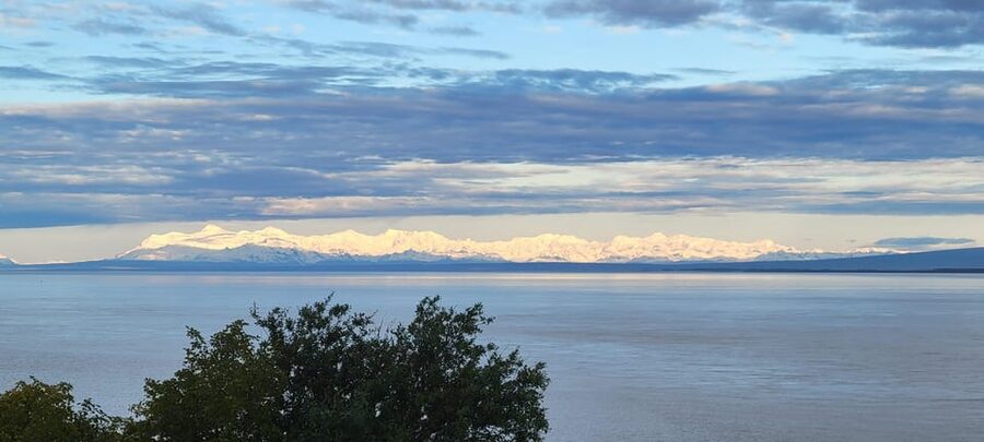Wildlife Center with Lunch & Local Beer Sampling - Ninety minutes among Alaska’s wildlife