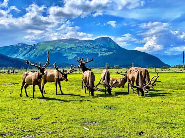 Wildlife Center with Lunch & Local Beer Sampling - Who will enjoy this tour most?
