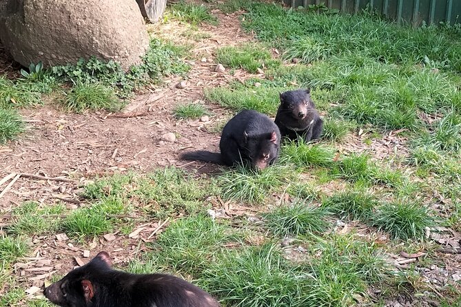 Wings Wildlife Park and Scenic Tour - Key Points at a Glance