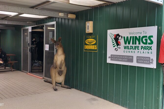 Wings Wildlife Park and Scenic Tour - Why This Six-Hour Outing Works