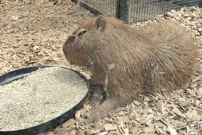 Wings Wildlife Park and Scenic Tour - What the Guides Add