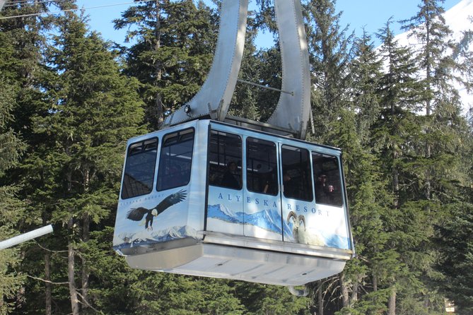 Winter - Alaska Wildlife Center with Alyeska Tram - Key points to know before booking
