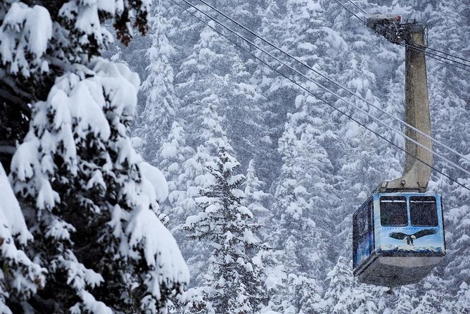 Winter - Alaska Wildlife Center with Alyeska Tram - Two very different experiences appear under one booking
