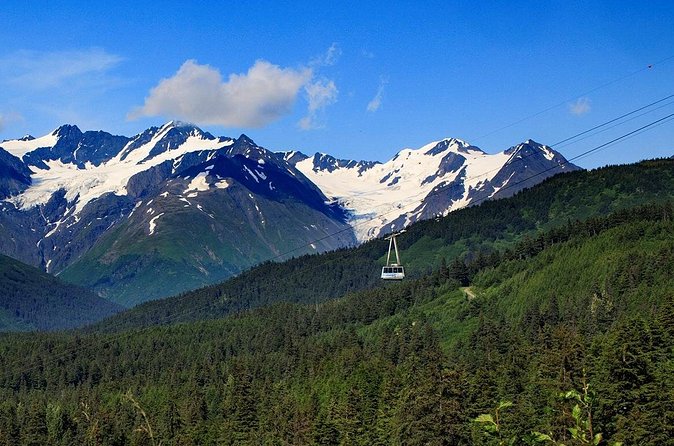 Winter - Alaska Wildlife Center with Alyeska Tram - Final verdict: confirm the product, then decide