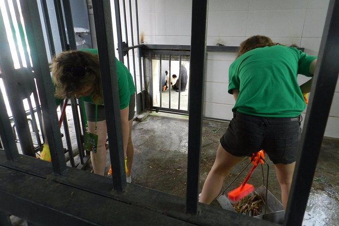 Wolong Panda Base Volunteering Program from Chengdu - The early Chengdu pickup and drive to Wolong
