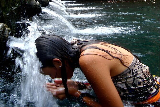 Wonderful Ubud Monkey Forest, Waterfalls, Temples and More - Lunch at D Alas Warung