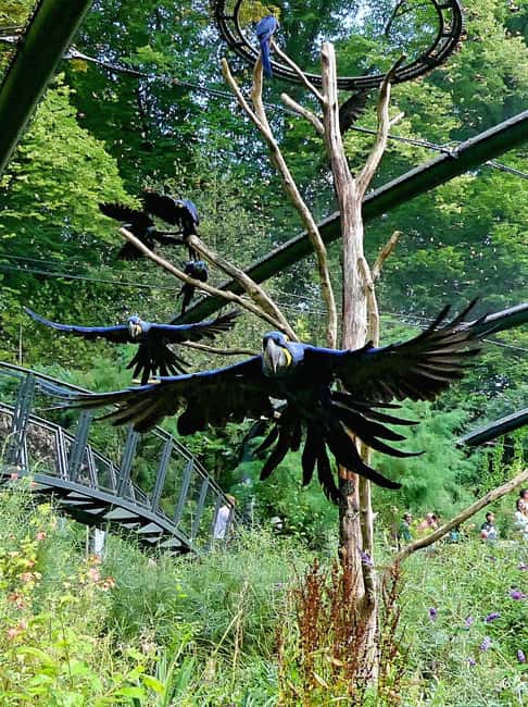 Wuppertal: Admission to the Green Zoo Wuppertal - Timing, opening hours, and what to bring