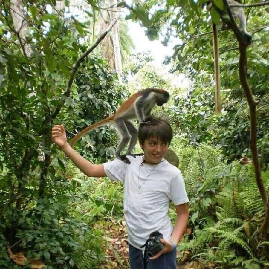 Zanzibar: Jozani Monkeys, Butterfly Garden & Reptile Park - Why Jozani Forest deserves the biggest share of your attention