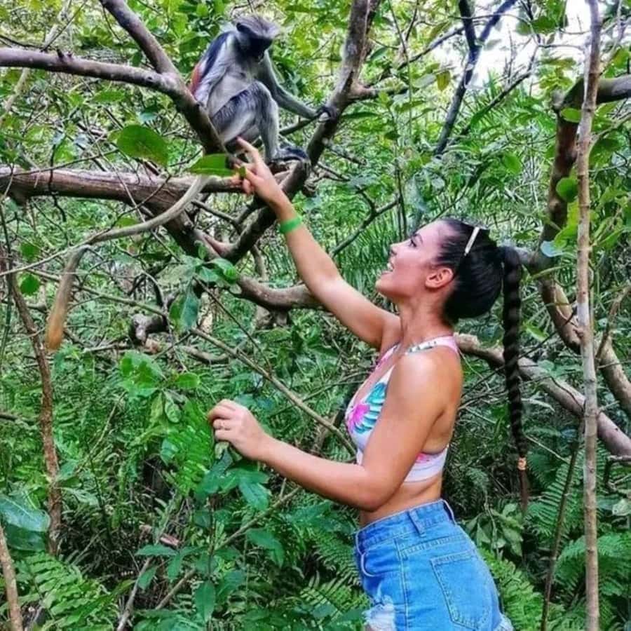 Zanzibar: Jozani Monkeys, Butterfly Garden & Reptile Park - Meeting chameleons, snakes, and giant tortoises