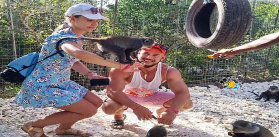 Zanzibar: Nungwi Kilosa Zoo Conservation Tour - Why Kilosa Zoo Works Well for a Short Nungwi Outing