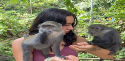 Zanzibar: Nungwi Kilosa Zoo Conservation Tour