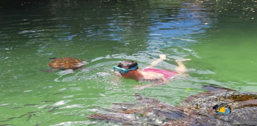 Zanzibar: Nungwi Kilosa Zoo & Swimming with Turtles - Two Zanzibar animal stops in one outing