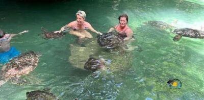 Zanzibar: Nungwi Kilosa Zoo & Swimming with Turtles