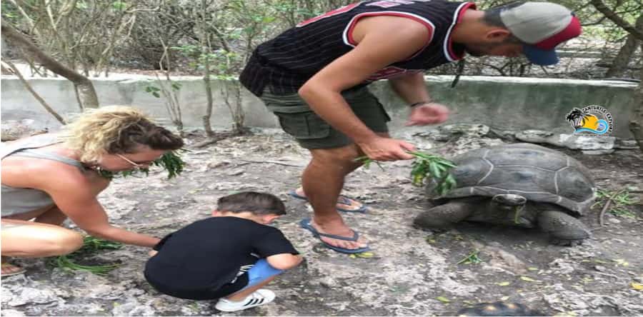 Zanzibar: Nungwi Kilosa Zoo & Swimming with Turtles - Lunch and the gap between plan and reality