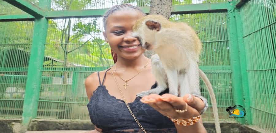 Zanzibar: Nungwi Kilosa Zoo & Swimming with Turtles - Pickup, transport, and private-group value