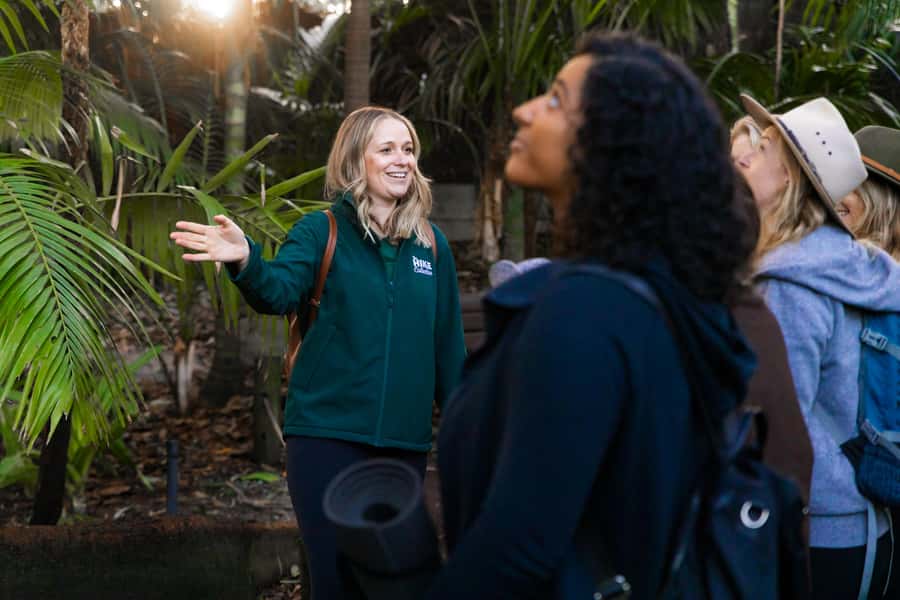 Zen In The Zoo - Key points to know
