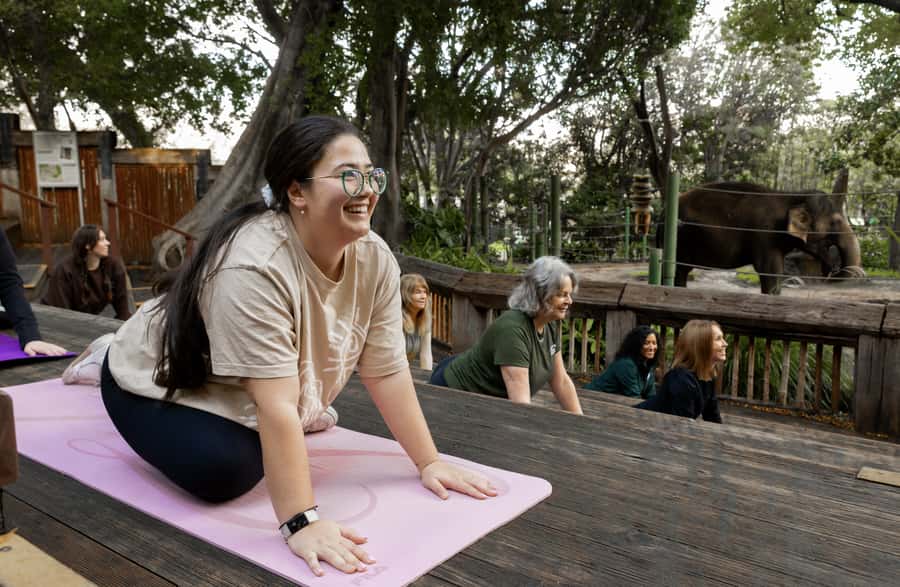 Zen In The Zoo - Why an early morning at Perth Zoo feels different