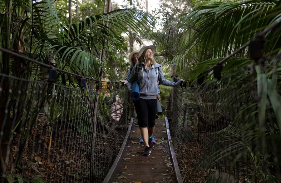 Zen In The Zoo - A 45-minute yoga class beside the elephant