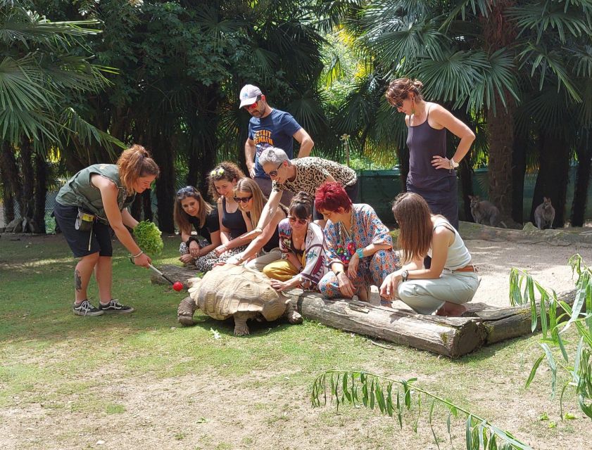 Zoo al Maglio: 1-Day Ticket for the Jungle of Ticino - A small Ticino zoo with a broad mix of animals