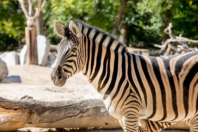 Zoo Aquarium Madrid Admission Ticket - Starting at Zoo Aquarium Madrid in Casa de Campo