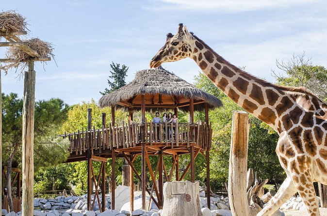 Zoo Aquarium Madrid Admission Ticket - Aviary time for a different view of the collection
