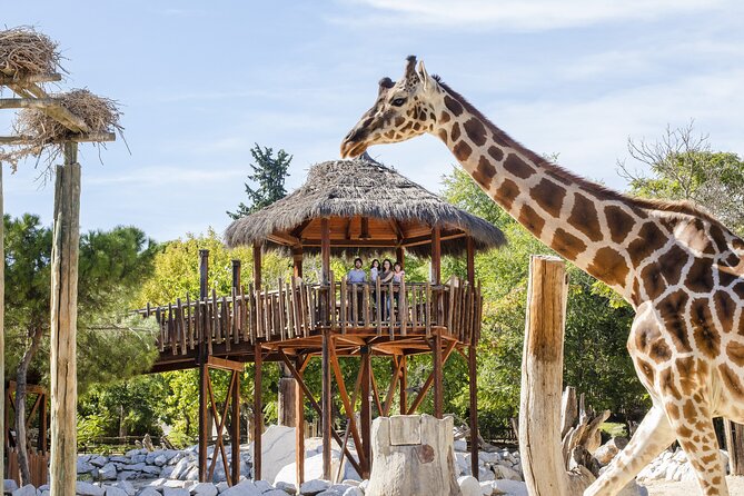 Zoo Aquarium Madrid Admission Ticket - Who will get the most from this admission