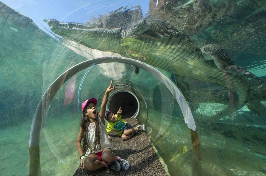 Zoo Miami: General Admission Ticket - Amazon and Beyond: Jaguars, Snakes, and a 48,000-Gallon Aquarium