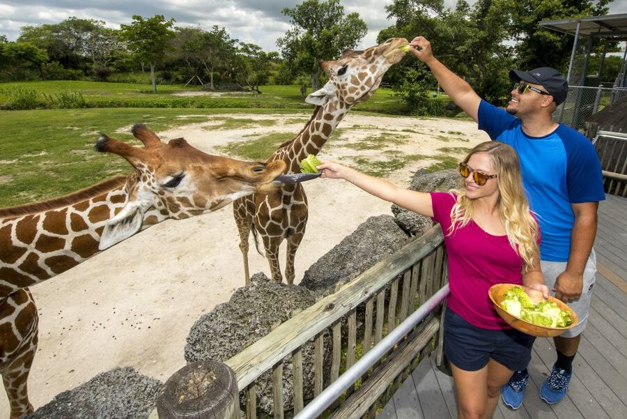 Zoo Miami: General Admission Ticket - Asia and the Wings of Asia Aviary