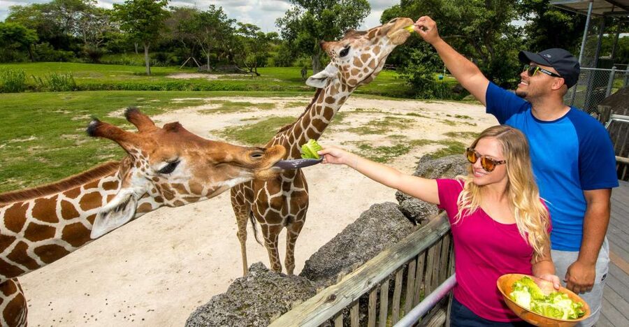 Zoo Miami: General Admission Ticket - Start with Florida: Mission Everglades